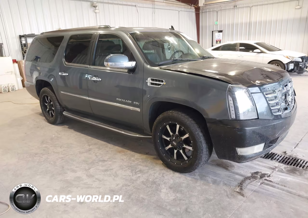 2010 Cadillac Escalade Esv Luxury