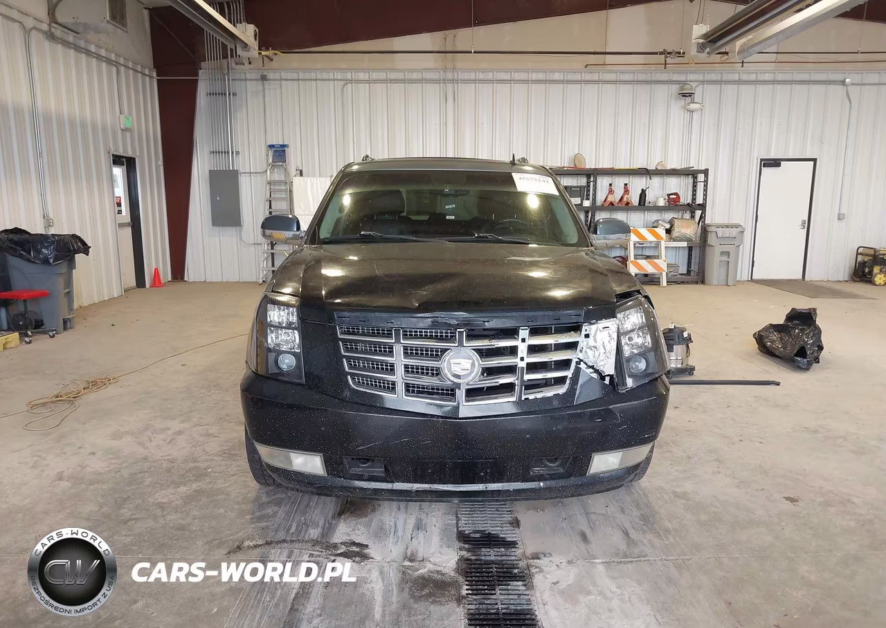 2010 Cadillac Escalade Esv Luxury VIN:1GYUKHEFXAR243796 - 12
