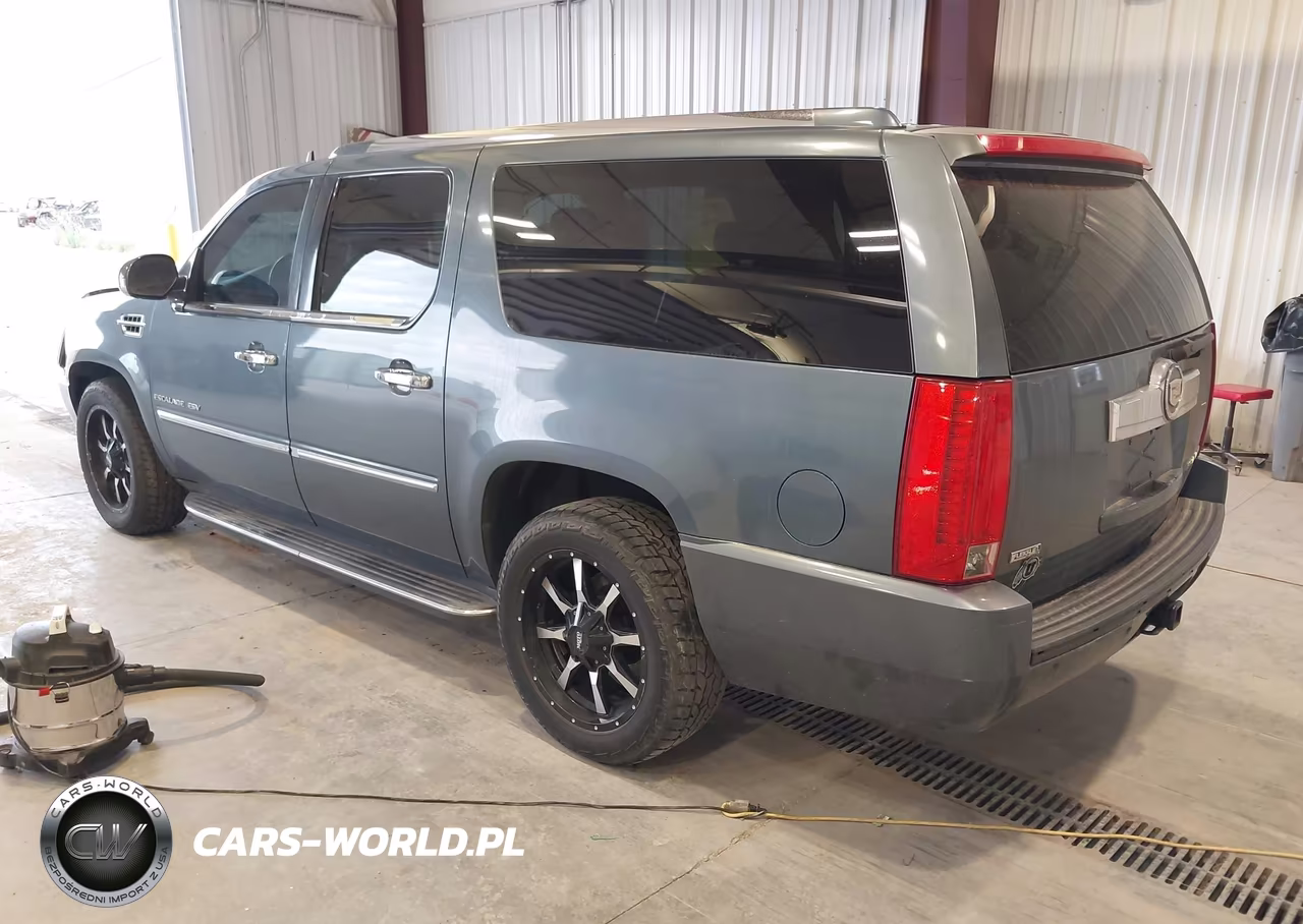 2010 Cadillac Escalade Esv Luxury VIN:1GYUKHEFXAR243796 - 3