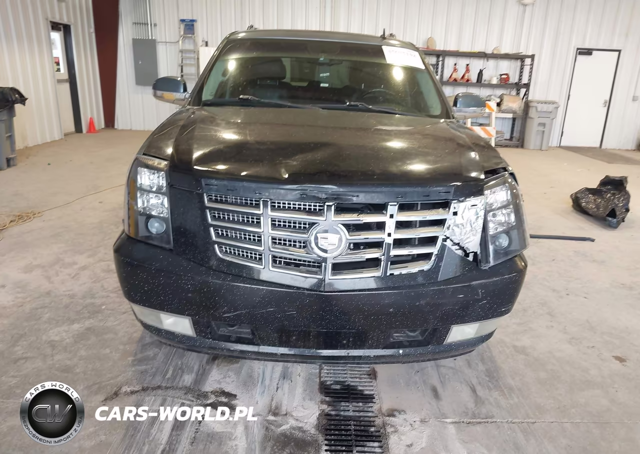 2010 Cadillac Escalade Esv Luxury VIN:1GYUKHEFXAR243796 - 6