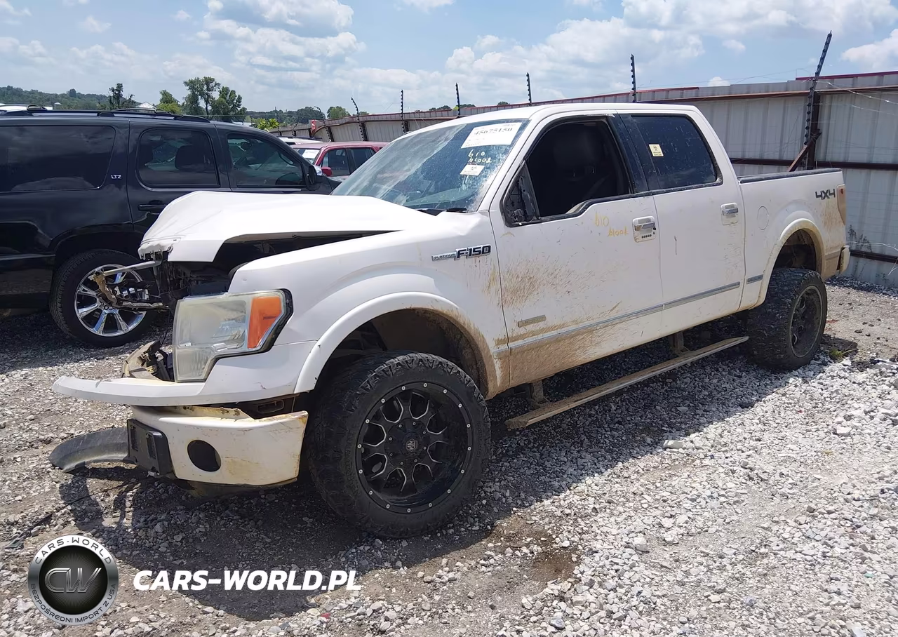 2011 Ford F-150 Platinum VIN:1FTFW1ET7BFD21809 - 2