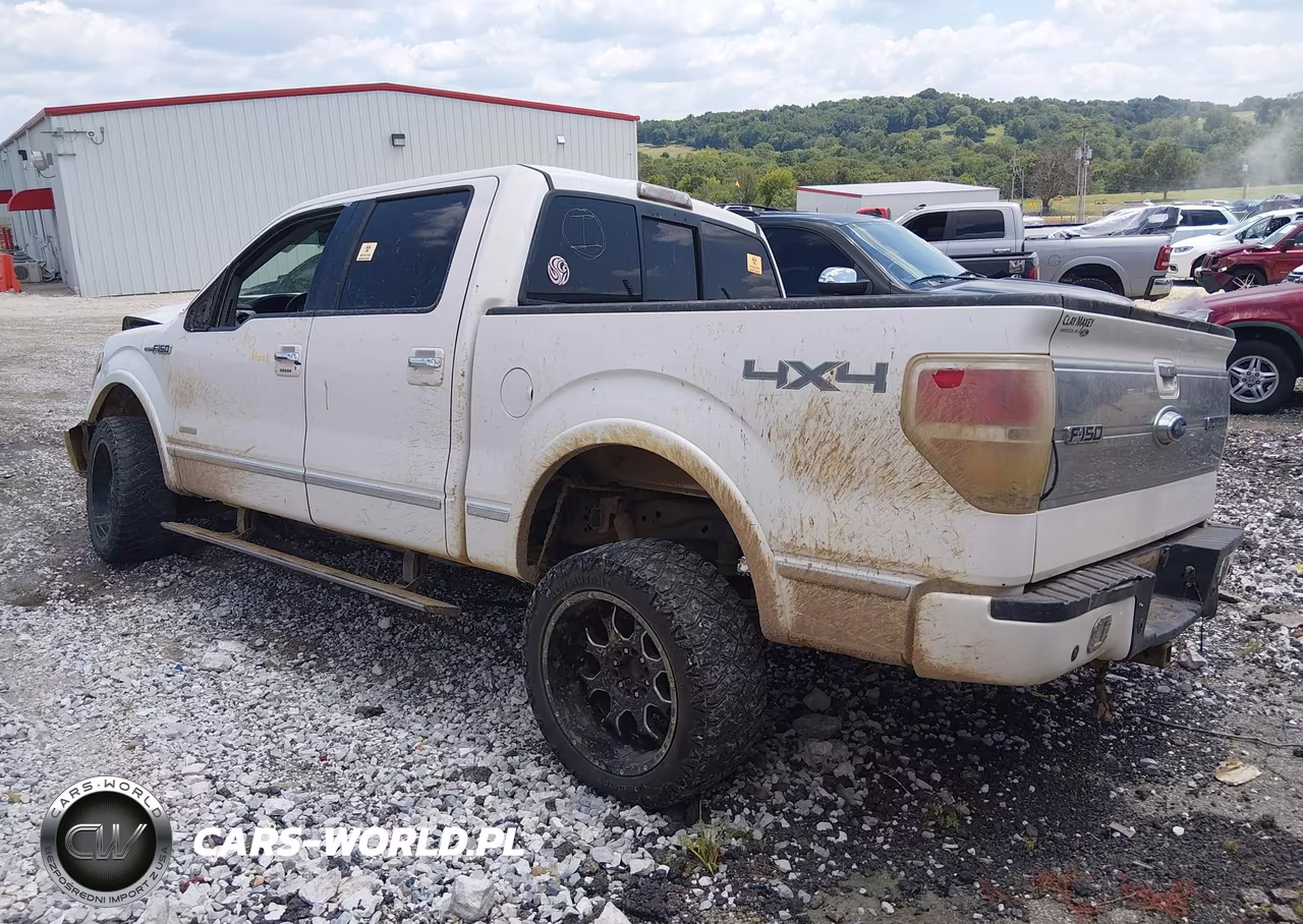 2011 Ford F-150 Platinum VIN:1FTFW1ET7BFD21809 - 3