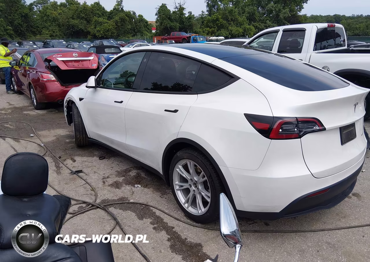 2023 Tesla Model Y Awd-Long Range Dual Motor All-Wheel Drive VIN:7SAYGDEE6PF665784 - 3