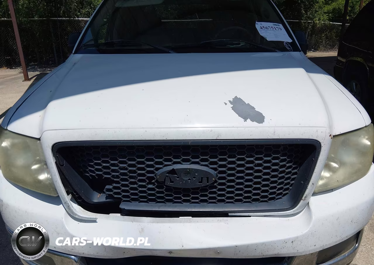 2005 Ford F-150 Xlt VIN:1FTRW12WX5KE27503 - 6