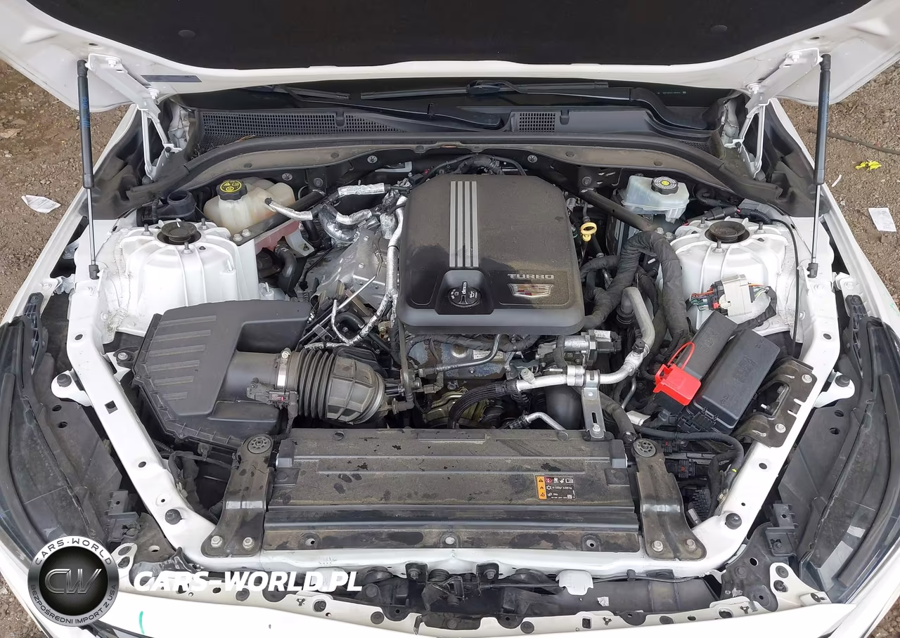 2020 Cadillac Ct5 Premium Luxury VIN:1G6DN5RK2L0119843 - 10