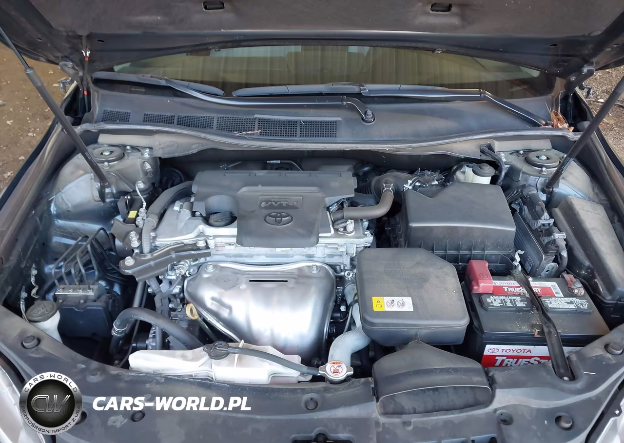2017 Toyota Camry Xse VIN:4T1BF1FK3HU619097 - 10