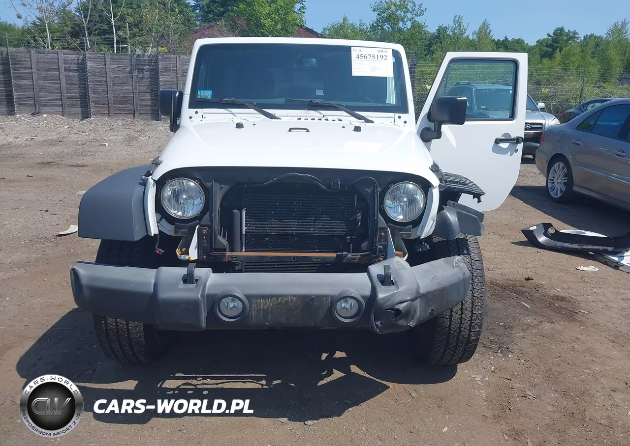 2016 Jeep Wrangler Unlimited Sport VIN:1C4BJWDG6GL137761 - 12