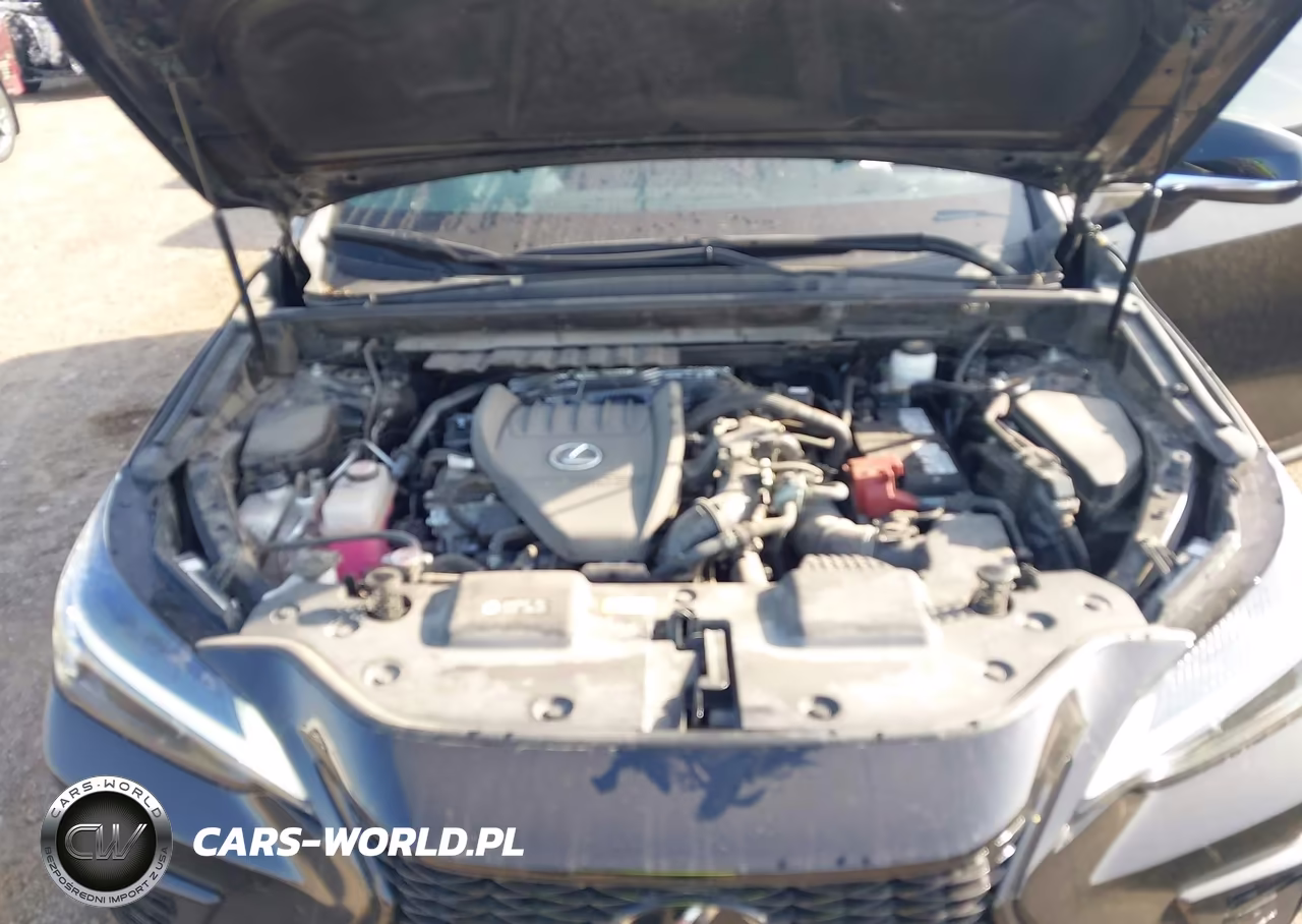 2024 Lexus Nx 350 F Sport Handling VIN:2T2KGCEZ7RC038126 - 10