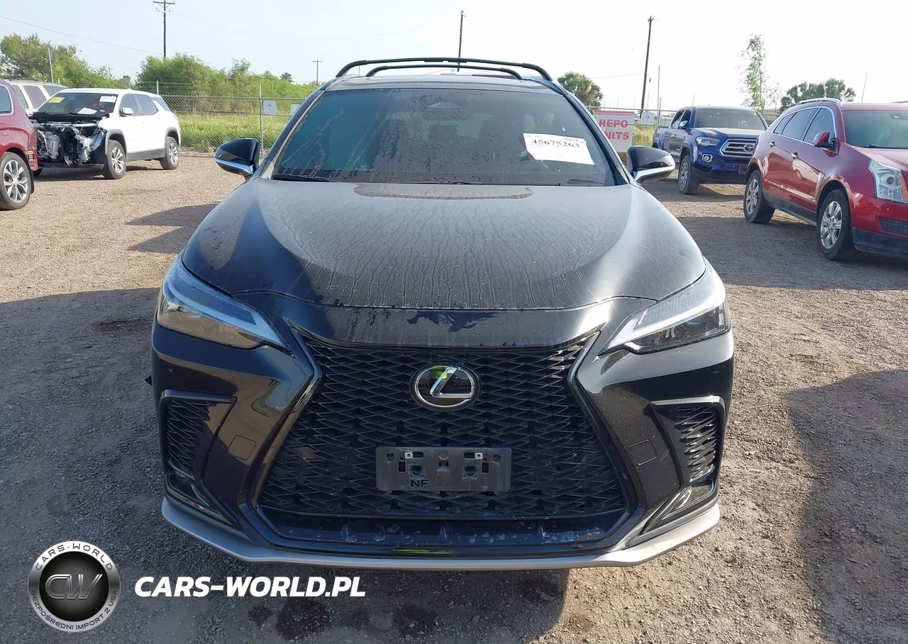 2024 Lexus Nx 350 F Sport Handling VIN:2T2KGCEZ7RC038126 - 13