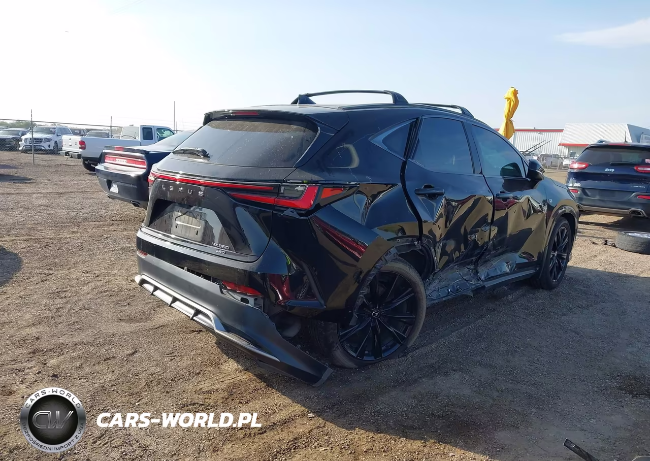 2024 Lexus Nx 350 F Sport Handling VIN:2T2KGCEZ7RC038126 - 4