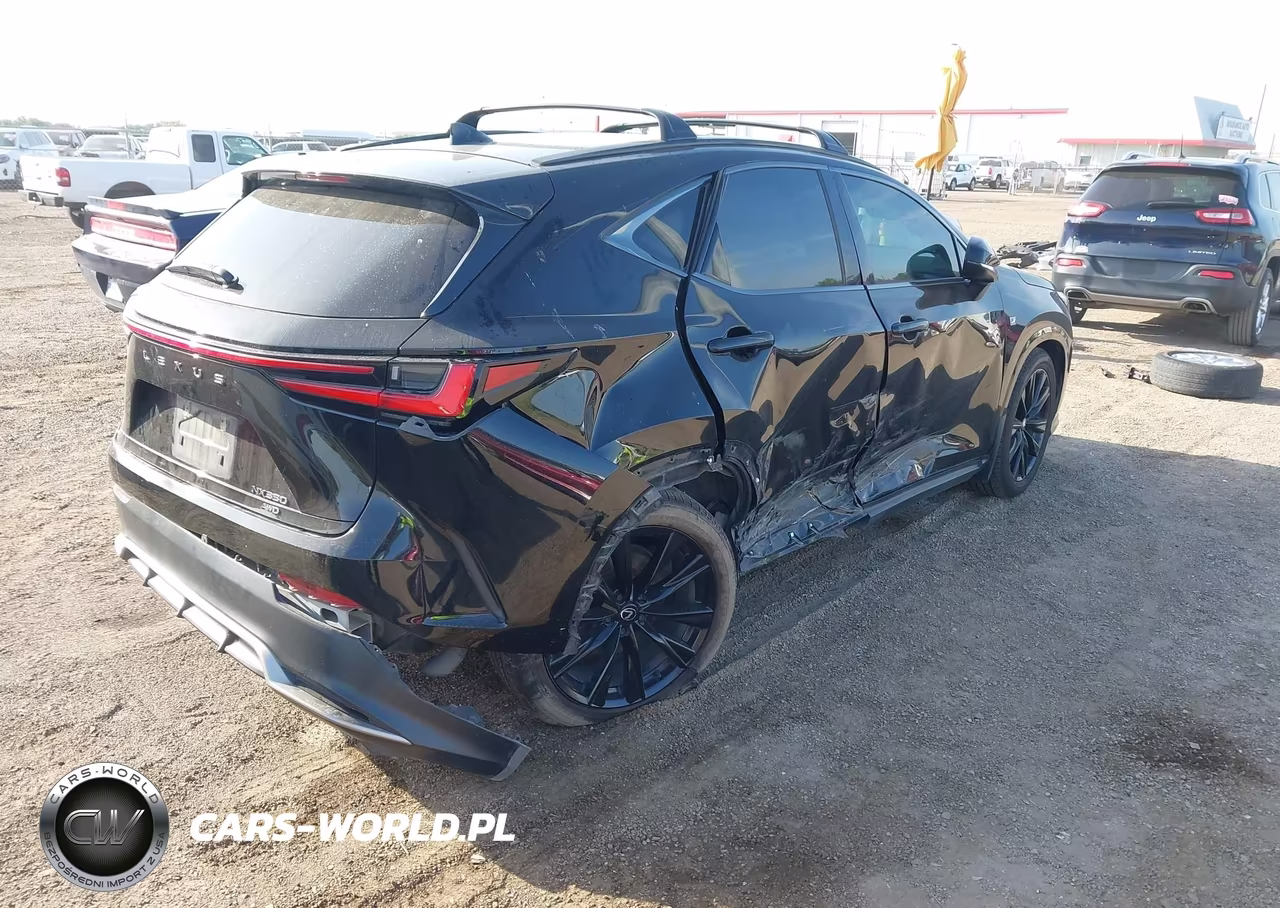 2024 Lexus Nx 350 F Sport Handling VIN:2T2KGCEZ7RC038126 - 6