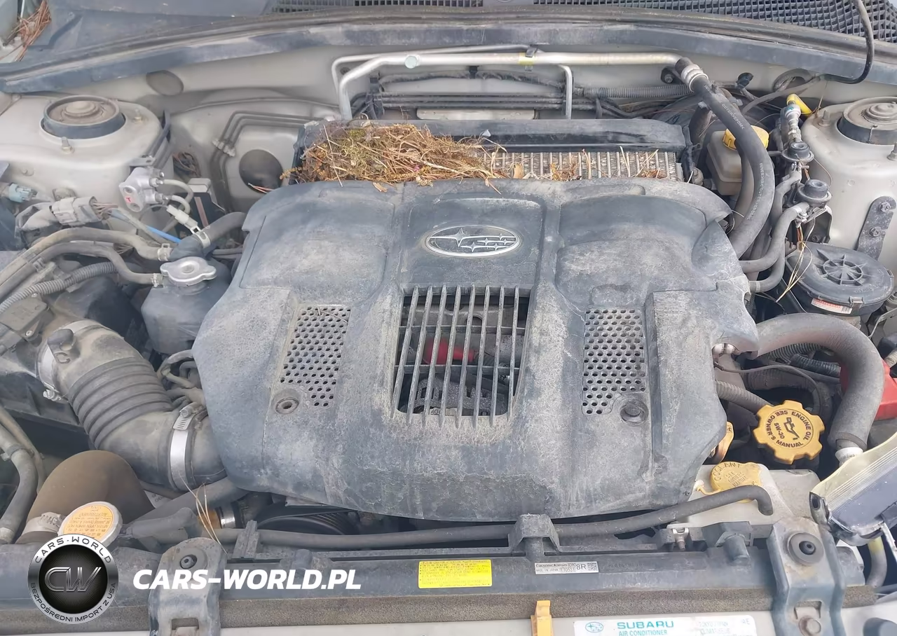2006 Subaru Forester 2.5Xt Limited VIN:JF1SG69666H709143 - 10