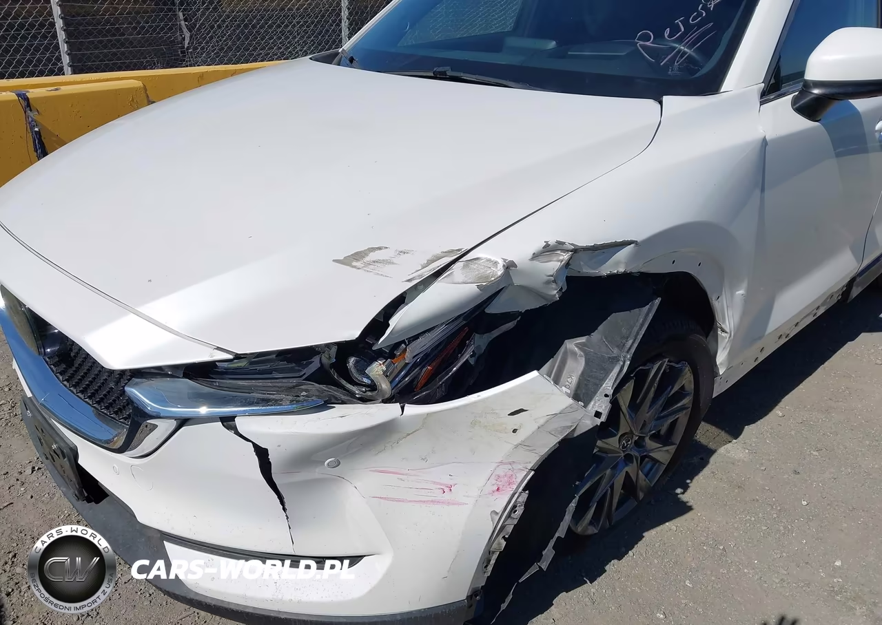 2019 Mazda Cx-5 Signature VIN:JM3KFBEY4K0564102 - 6