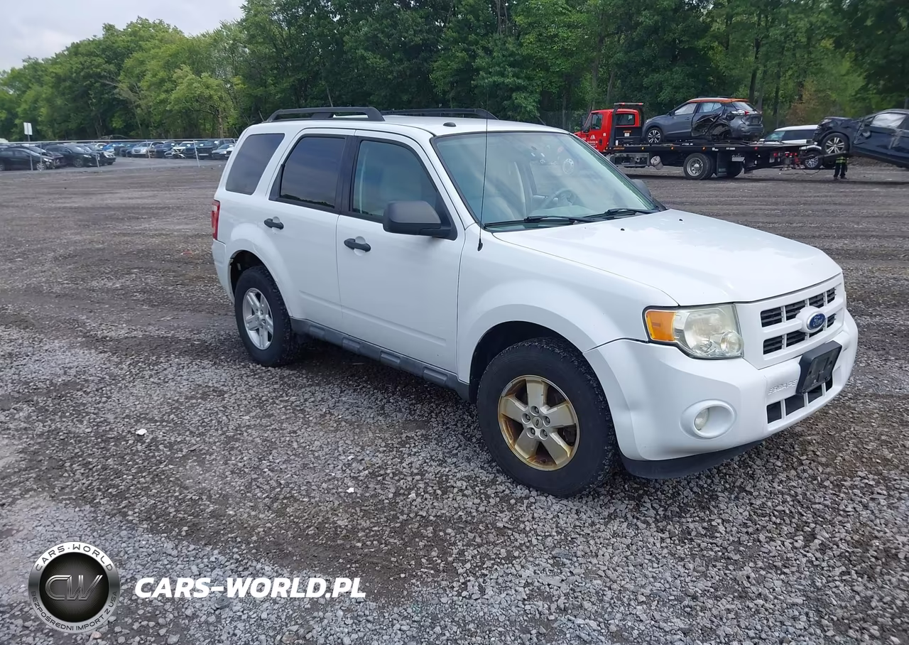 2010 Ford Escape Hybrid
