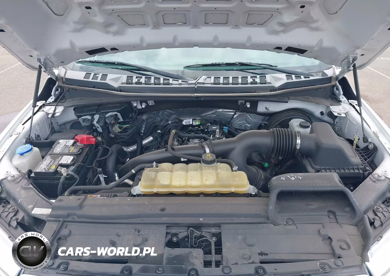 2020 Ford F-150 Xl VIN:1FTEW1CP0LKE40201 - 10