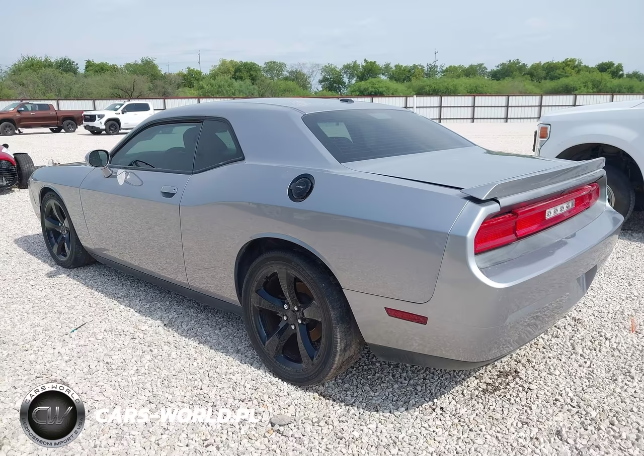 2014 Dodge Challenger R-T VIN:2C3CDYBT3EH185319 - 3
