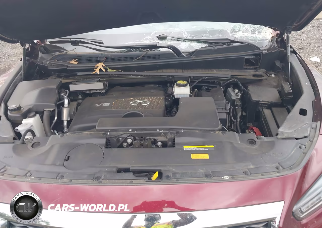2019 Infiniti Qx60 Luxe VIN:5N1DL0MM2KC558676 - 10