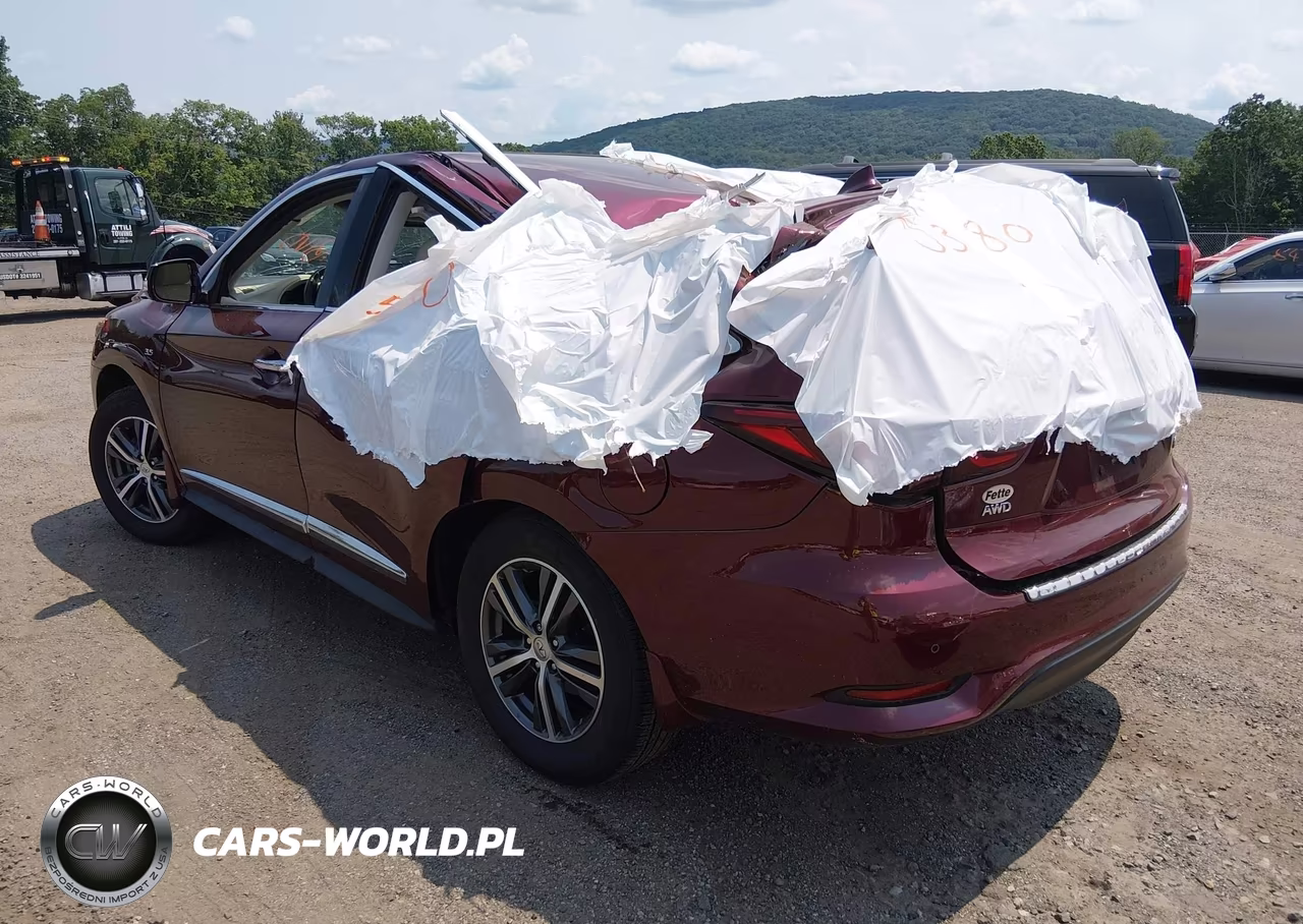 2019 Infiniti Qx60 Luxe VIN:5N1DL0MM2KC558676 - 20