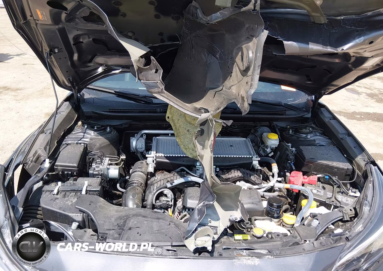 2025 Subaru Outback Wilderness VIN:4S4BTGUD2S3282693 - 10