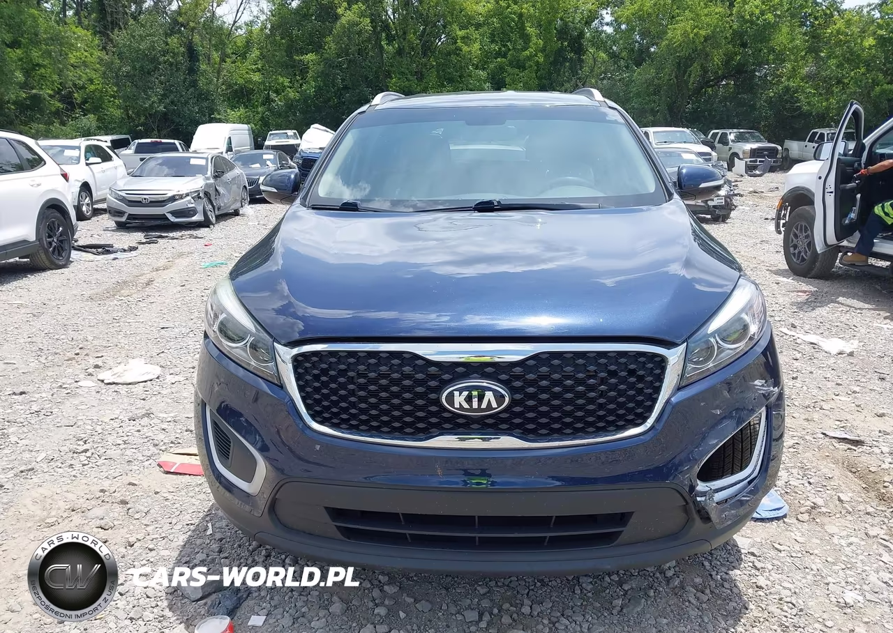 2017 Kia Sorento 2.4L Lx VIN:5XYPG4A31HG259855 - 13