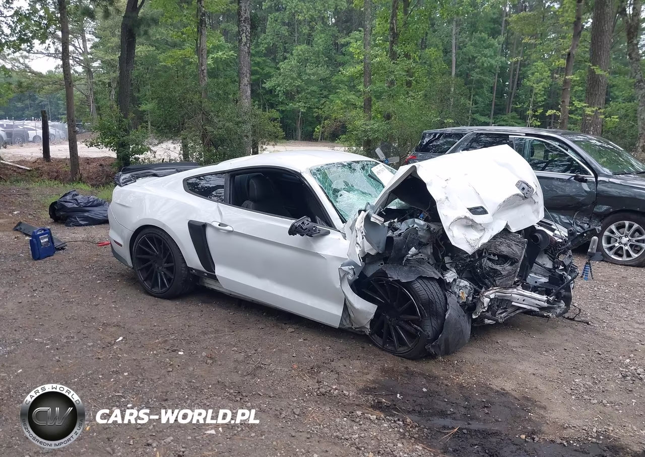 2019 Ford Mustang Ecoboost