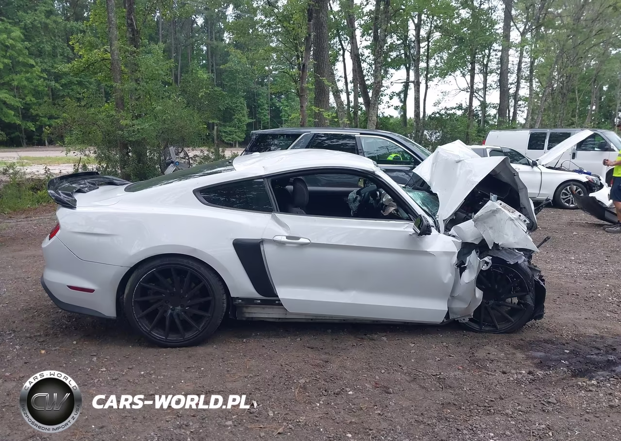2019 Ford Mustang Ecoboost VIN:1FA6P8TH8K5129489 - 14