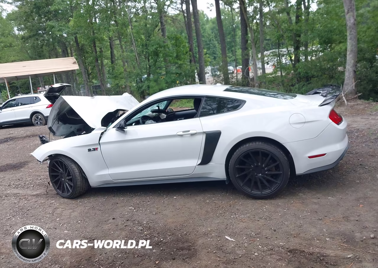 2019 Ford Mustang Ecoboost VIN:1FA6P8TH8K5129489 - 15