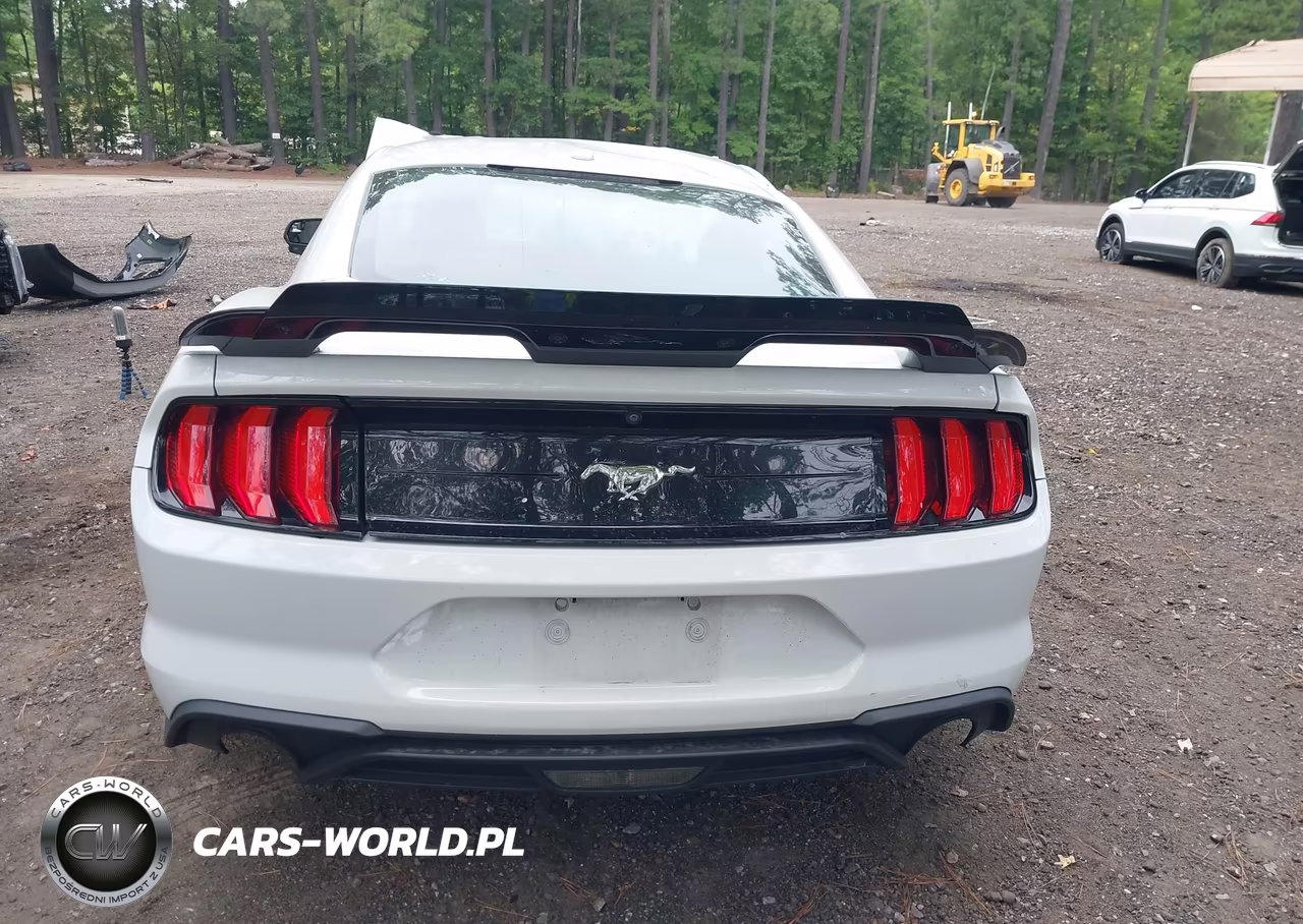 2019 Ford Mustang Ecoboost VIN:1FA6P8TH8K5129489 - 17
