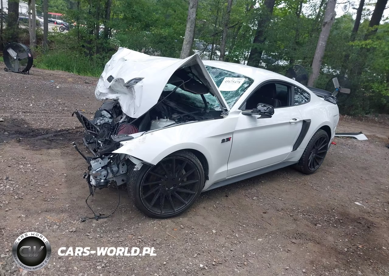 2019 Ford Mustang Ecoboost VIN:1FA6P8TH8K5129489 - 2