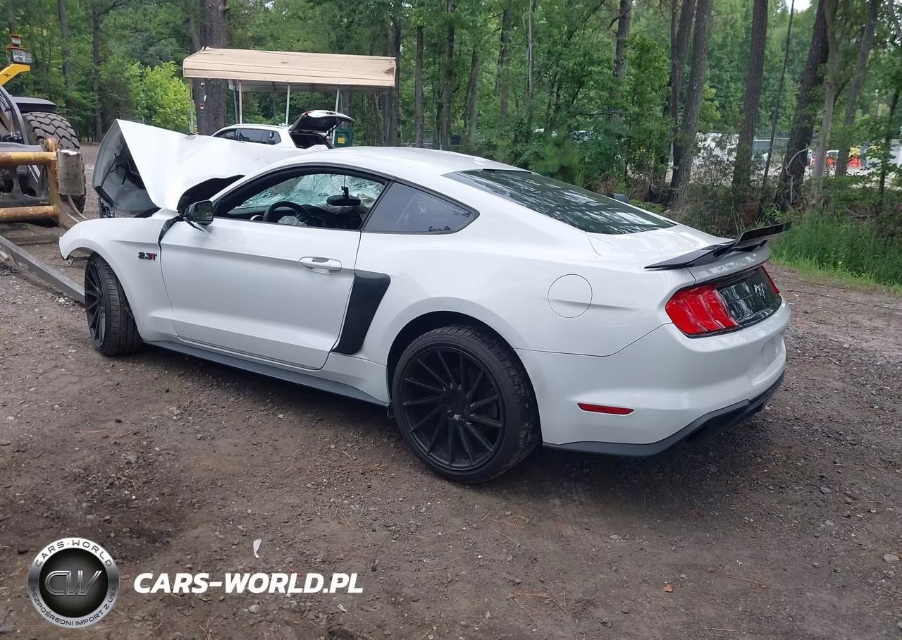 2019 Ford Mustang Ecoboost VIN:1FA6P8TH8K5129489 - 3