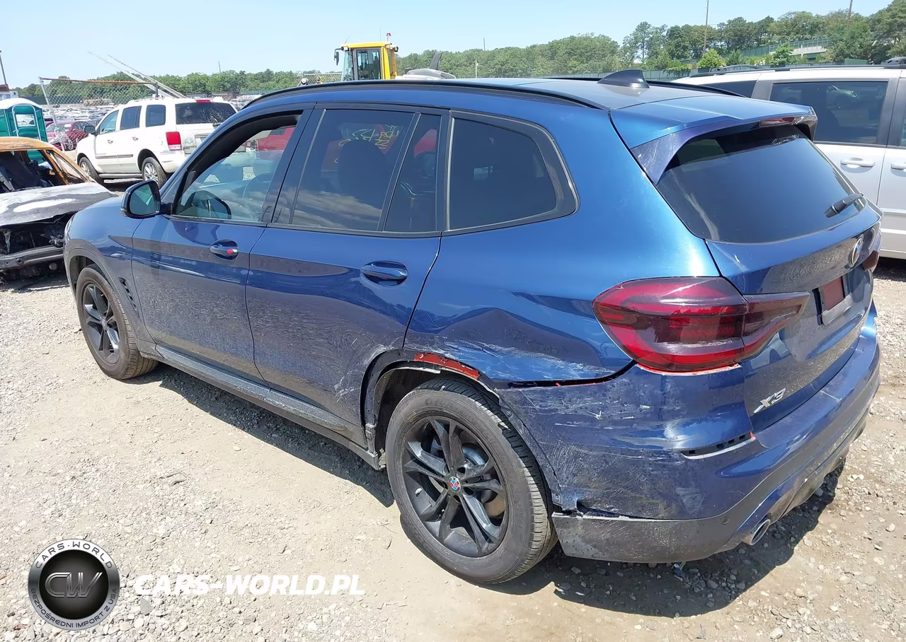 2021 BMW X3 xDrive30I VIN:5UXTY5C08M9G31046 - 3