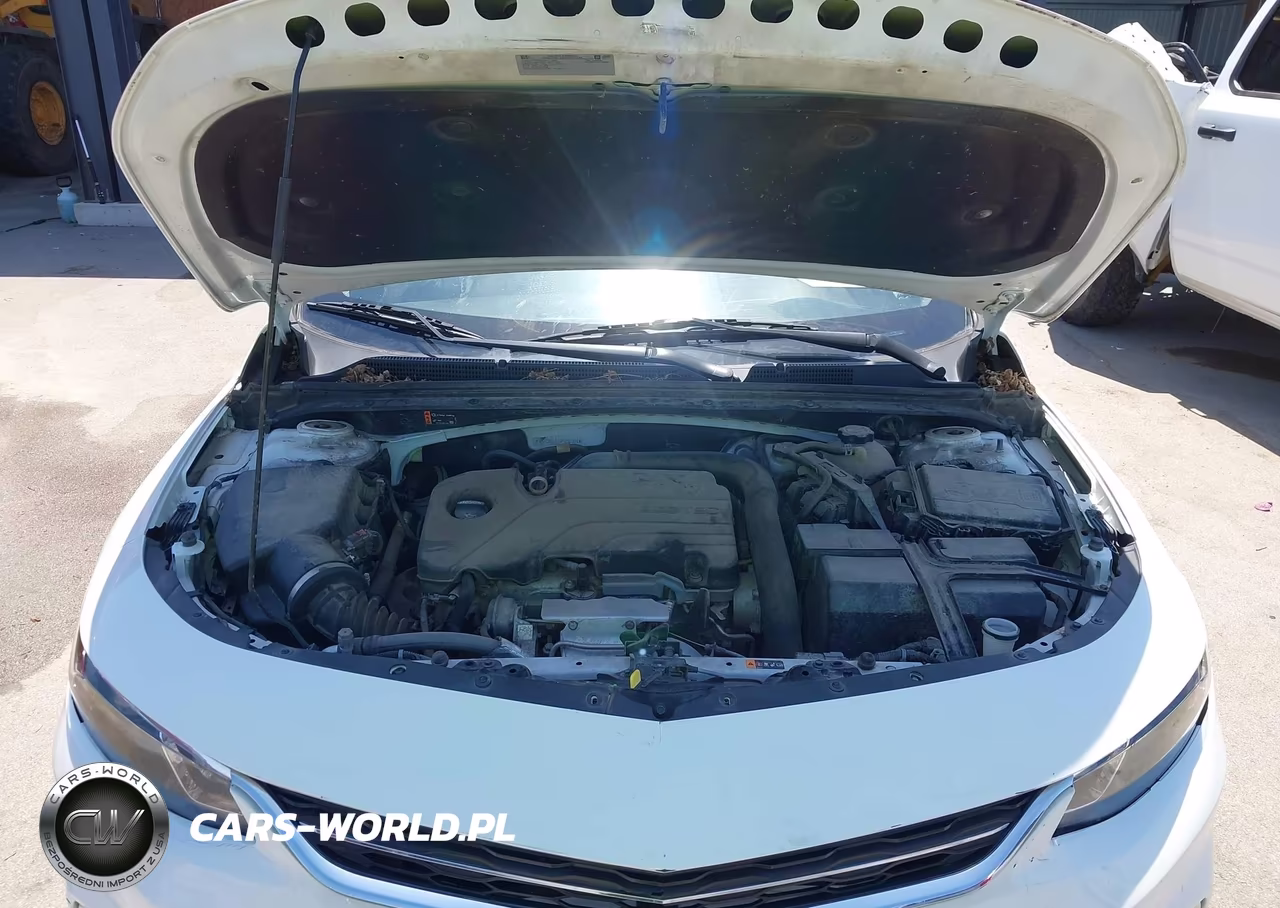 2018 Chevrolet Malibu 1Ls VIN:1G1ZB5ST2JF256301 - 10