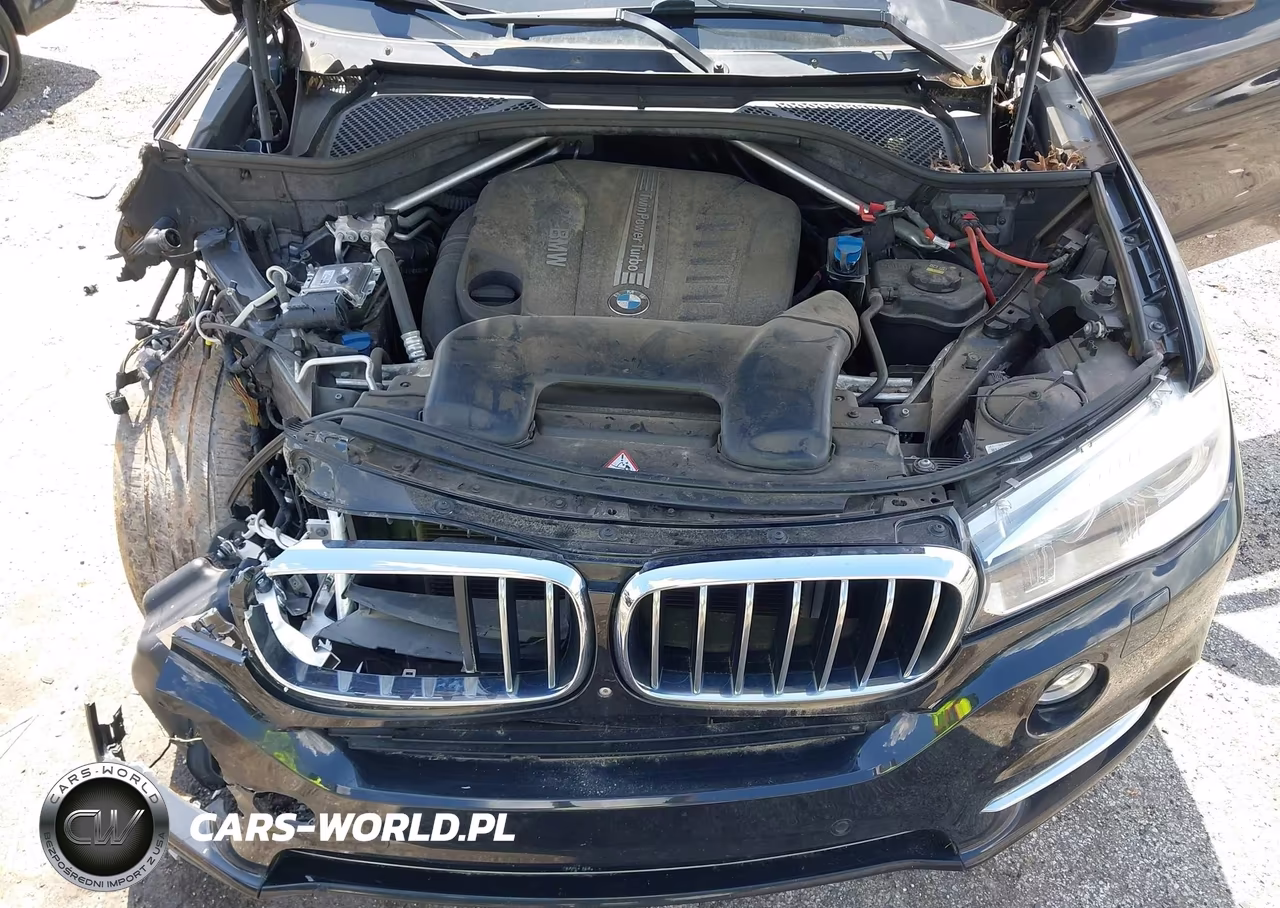 2015 BMW X5 xDrive35D VIN:5UXKS4C53F0N06608 - 10