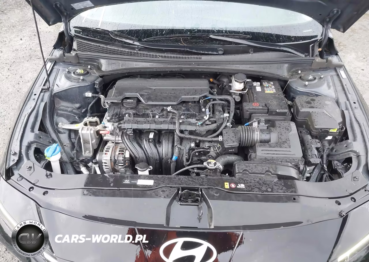 2024 Hyundai Elantra Se VIN:KMHLL4DG4RU816696 - 10