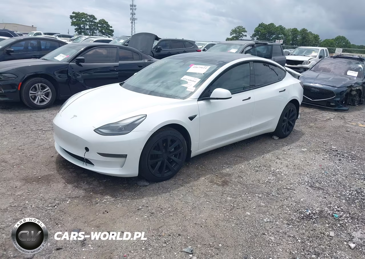 2022 Tesla Model 3 Long Range Dual Motor All-Wheel Drive VIN:5YJ3E1EB4NF271019 - 2