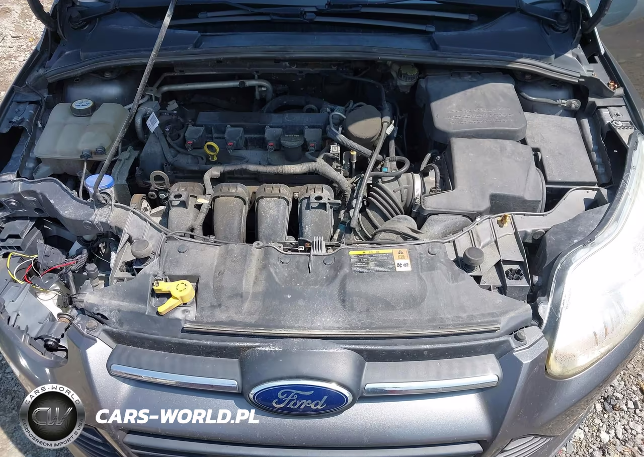 2013 Ford Focus Se VIN:1FADP3F20DL348835 - 10