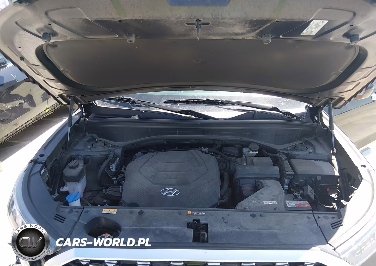 2021 Hyundai Palisade Calligraphy VIN:KM8R7DHE3MU317808 - 10