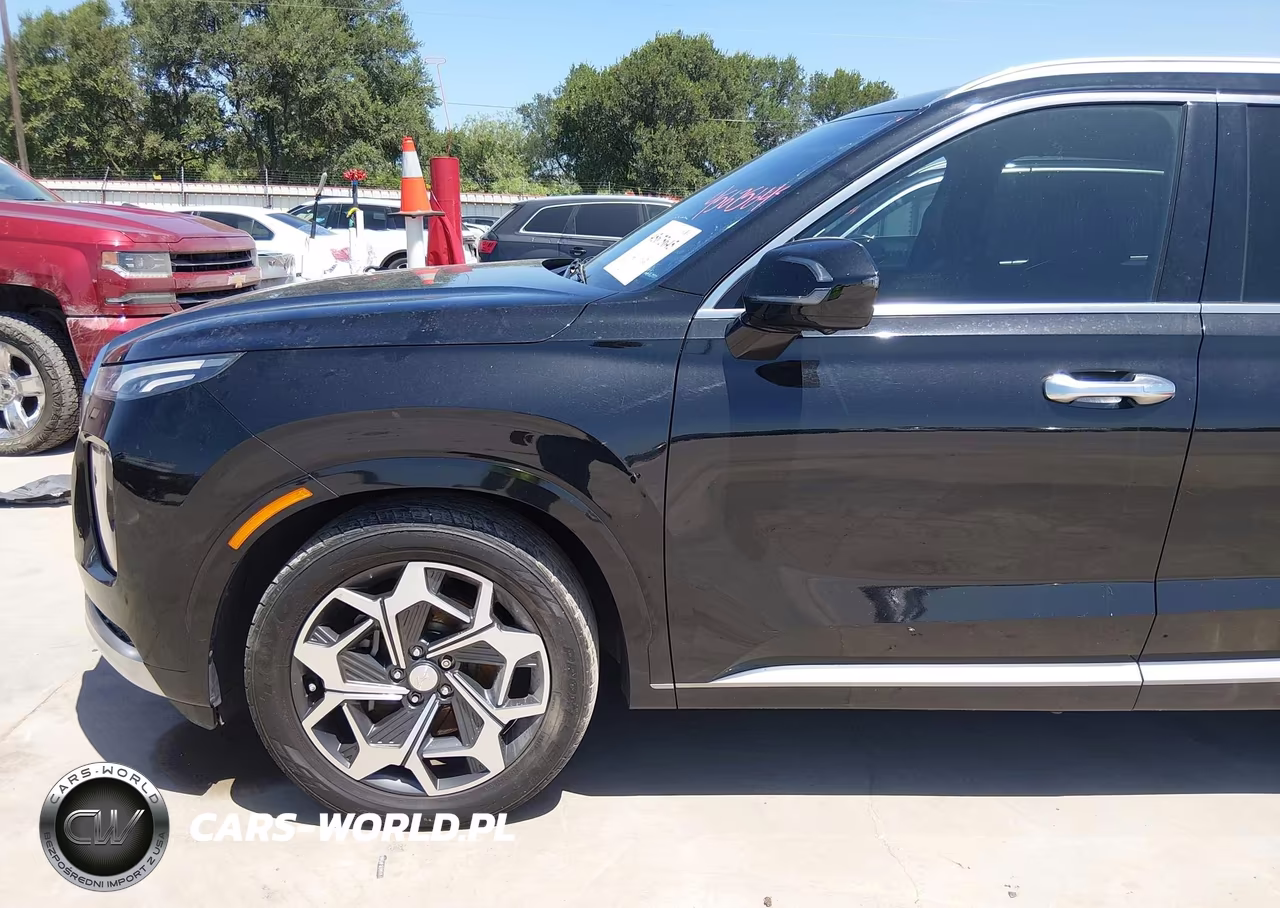 2021 Hyundai Palisade Calligraphy VIN:KM8R7DHE3MU317808 - 20