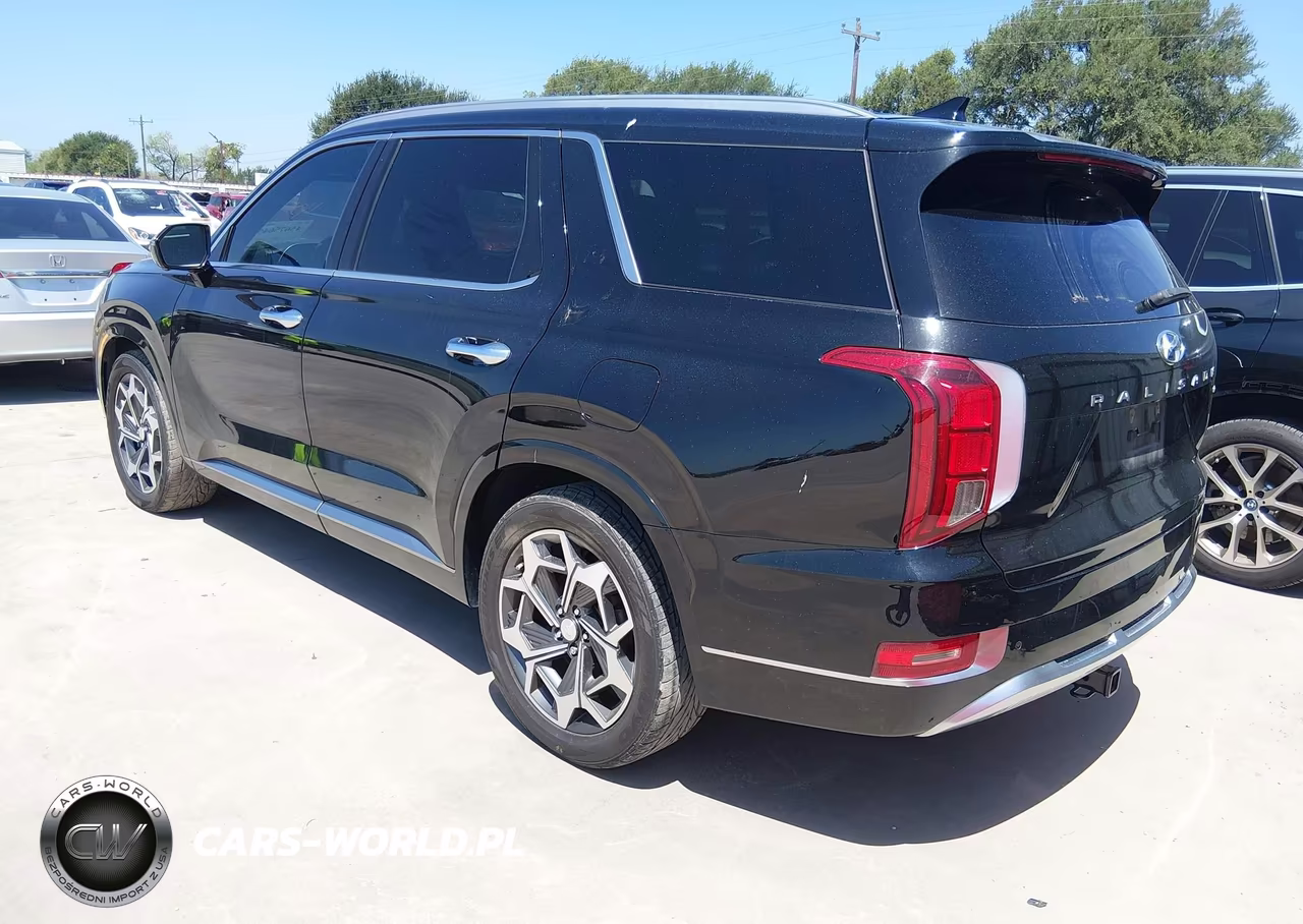 2021 Hyundai Palisade Calligraphy VIN:KM8R7DHE3MU317808 - 3