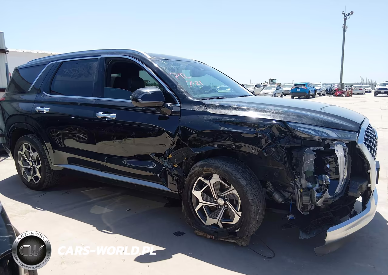 2021 Hyundai Palisade Calligraphy VIN:KM8R7DHE3MU317808 - 6