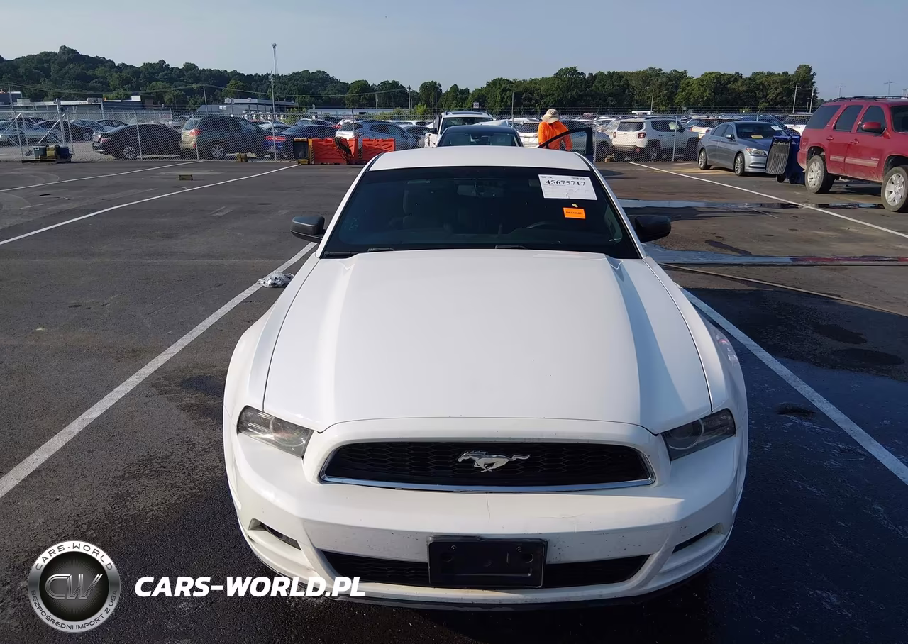 2013 Ford Mustang V6 VIN:1ZVBP8AM3D5240492 - 12