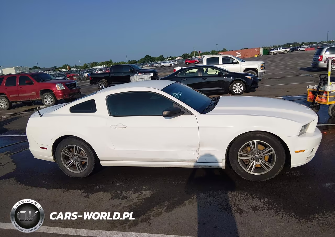 2013 Ford Mustang V6 VIN:1ZVBP8AM3D5240492 - 13