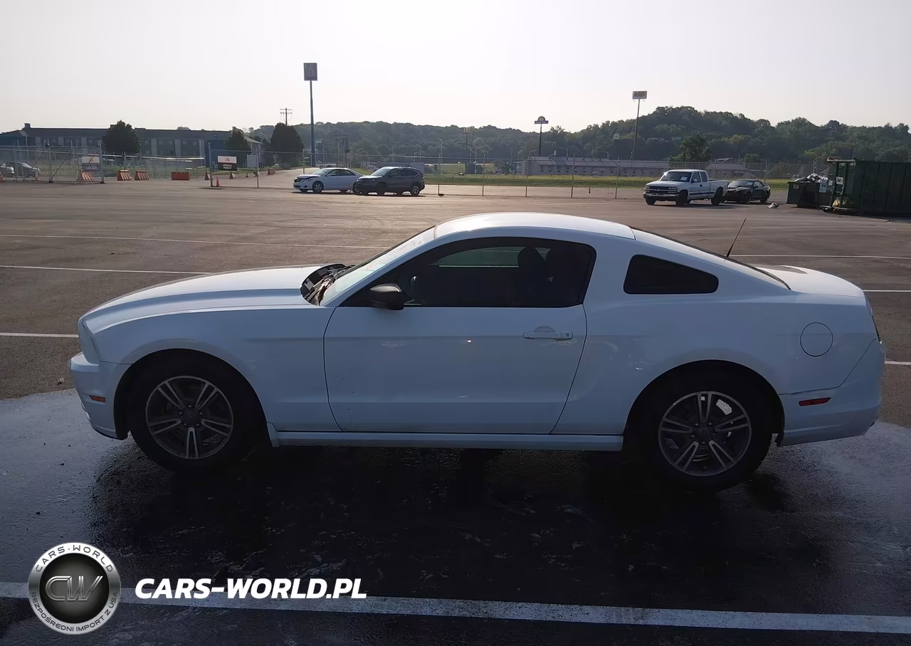 2013 Ford Mustang V6 VIN:1ZVBP8AM3D5240492 - 14