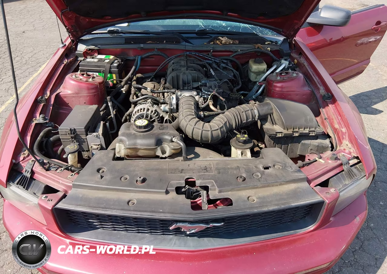 2007 Ford Mustang V6 Deluxe-V6 Premium VIN:1ZVHT80N275278526 - 10