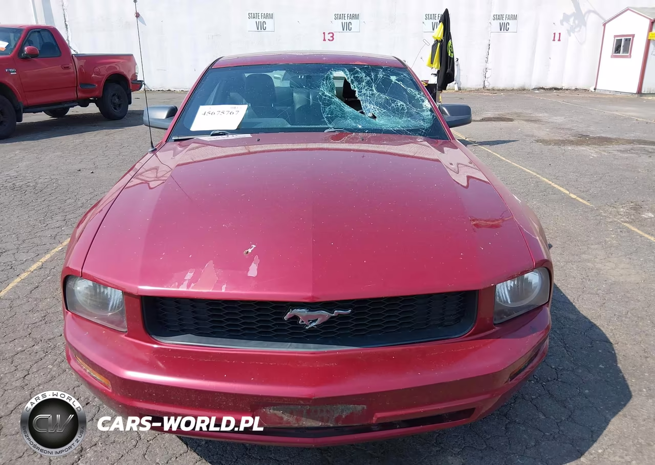 2007 Ford Mustang V6 Deluxe-V6 Premium VIN:1ZVHT80N275278526 - 12
