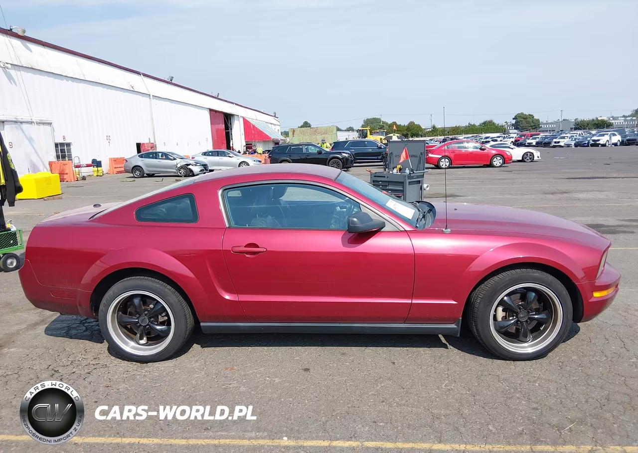 2007 Ford Mustang V6 Deluxe-V6 Premium VIN:1ZVHT80N275278526 - 13
