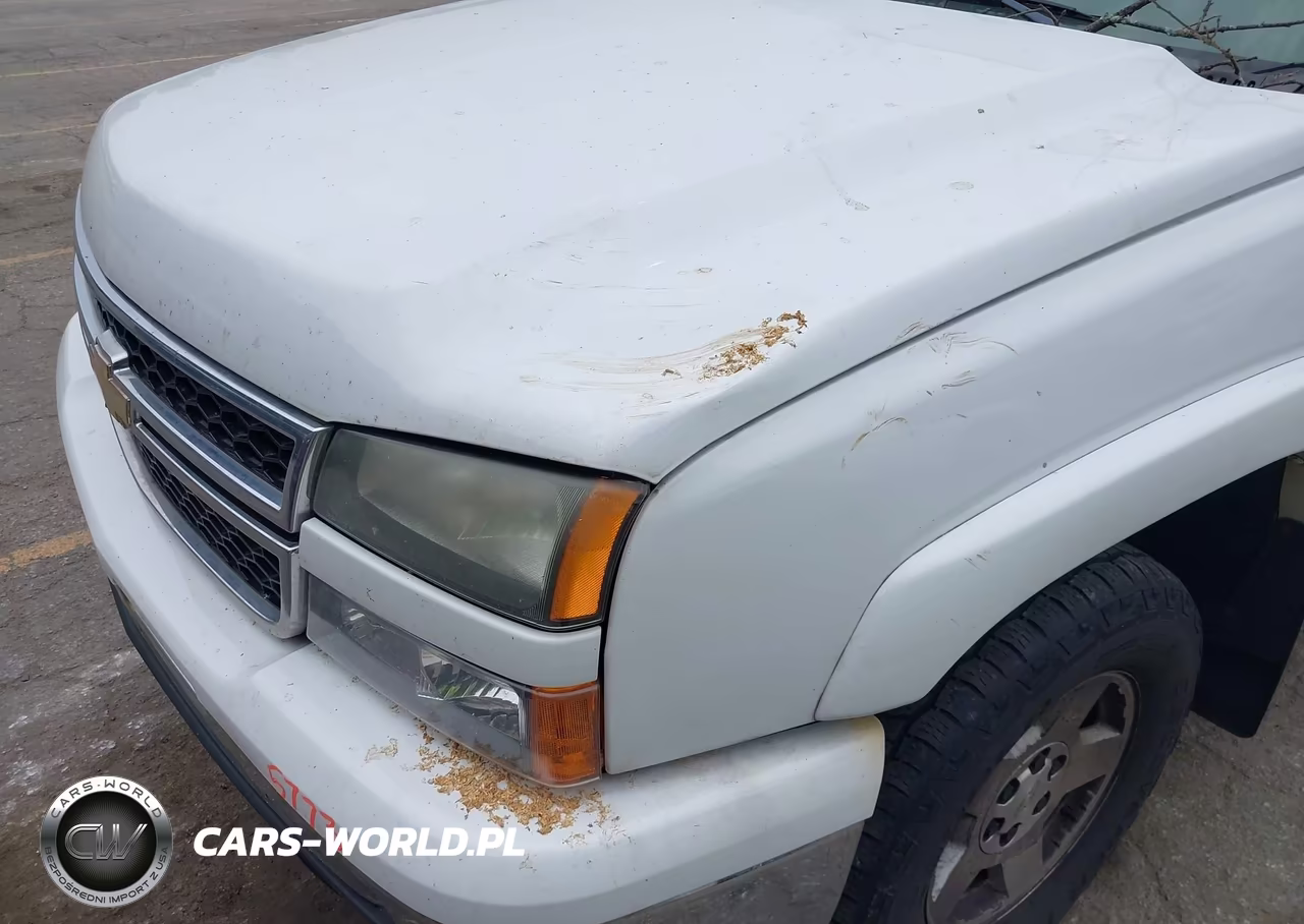 2006 Chevrolet Silverado 1500 Lt1 VIN:1GCEK19Z26Z272352 - 13