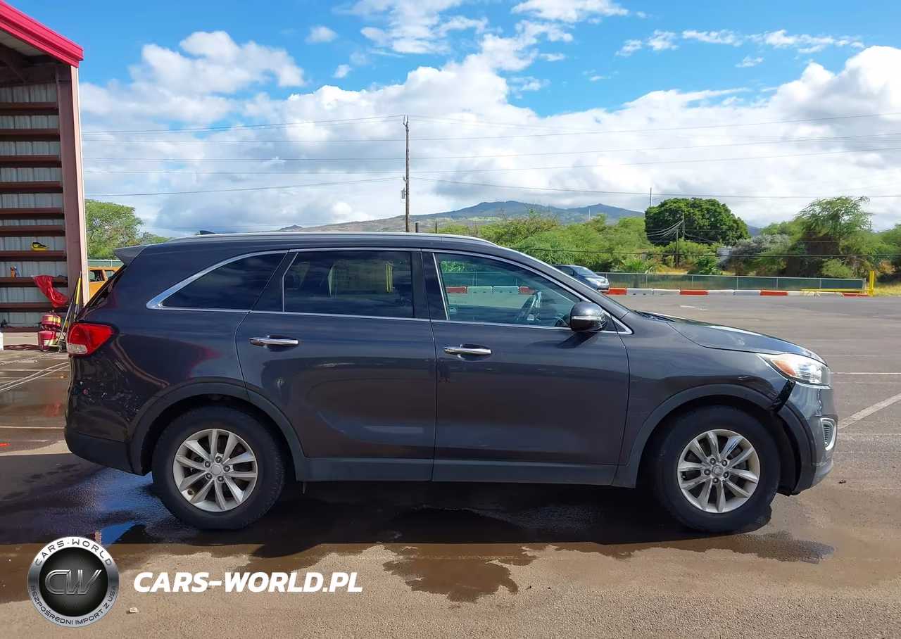 2017 Kia Sorento 2.4L Lx VIN:5XYPG4A38HG293310 - 13