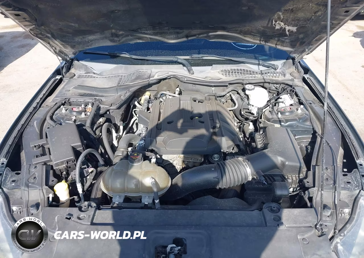 2015 Ford Mustang Ecoboost VIN:1FA6P8TH2F5403713 - 10