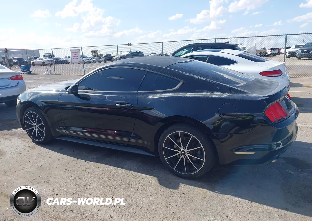 2015 Ford Mustang Ecoboost VIN:1FA6P8TH2F5403713 - 14